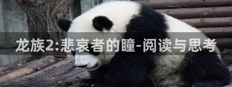 快看漫画全部免费观看：龙族2:悲哀者的瞳-阅读与思考